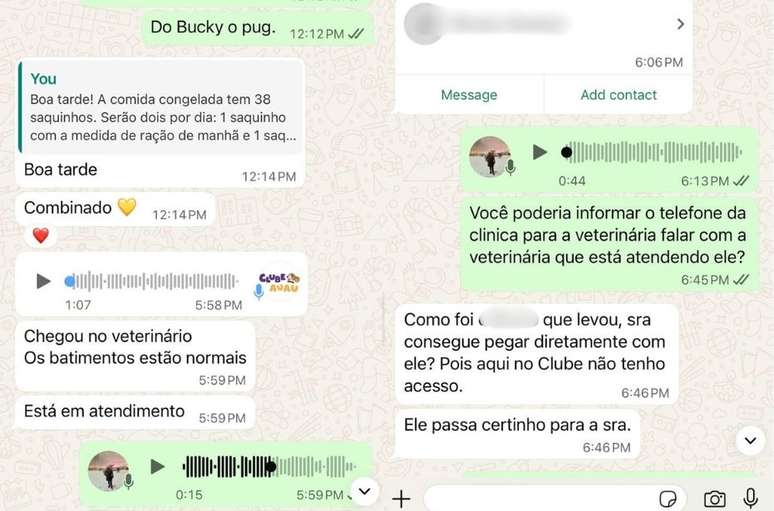A tutora foi avisada pelo hotel que seu cachorro estava em atendimento, mas com os batimentos normais