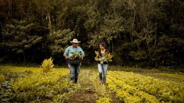 Monteiro aponta a agricultura familiar com uma solu&ccedil;&atilde;o para diminuir a depend&ecirc;ncia dos ultraprocessados