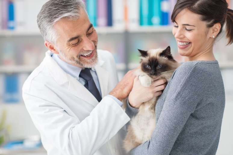 O diagn&oacute;stico da FIV e da FELV &eacute; importante para garantir qualidade de vida ao gato 