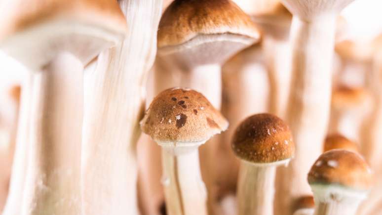 Ravi Das defende que, quando ficar comprovado que as terapias psicod&eacute;licas s&atilde;o seguras e eficazes, elas sejam disponibilizadas pelo servi&ccedil;o de sa&uacute;de p&uacute;blica do Reino Unido