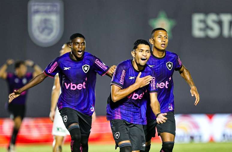 Garotada do Botafogo caiu nas gra&ccedil;as da torcida &ndash;