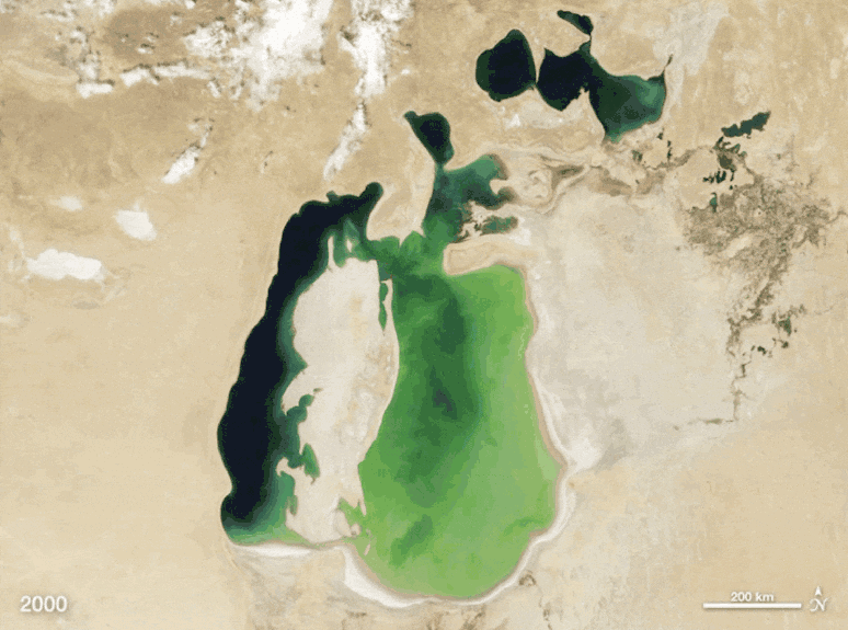 Como o Mar de Aral encolheu de 2000 a 2011. O lago de &aacute;gua doce j&aacute; foi mais oval, cobrindo as &aacute;reas claras ainda na d&eacute;cada de 1980, mas o uso excessivo de sua &aacute;gua para a agricultura por v&aacute;rios pa&iacute;ses o fez encolher. NASA