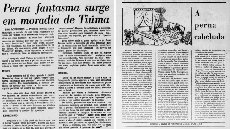 Reprodu&ccedil;&atilde;o de textos sobre a Perna no Diario de Pernambuco
