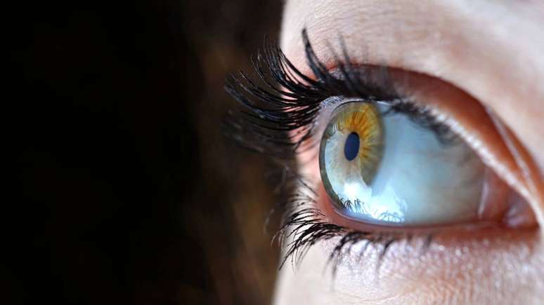 Para entender a rodopsina, &eacute; &uacute;til imaginar o olho como uma c&acirc;mera biol&oacute;gica. Assim, a luz entra, atravessa estruturas como c&oacute;rnea, pupila e cristalino, at&eacute; atingir a retina, que funciona como o &ldquo;filme&rdquo; ou o &ldquo;sensor&rdquo; dessa c&acirc;mera &ndash; depositphotos.com / vencav