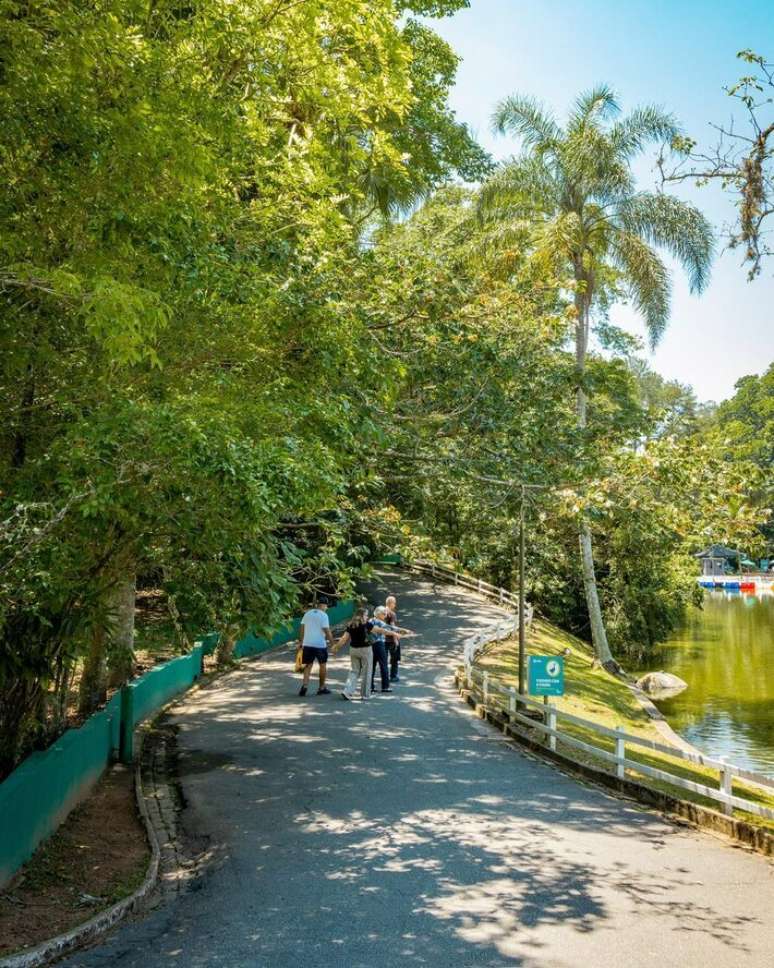 Horto Florestal - S&atilde;o Paulo