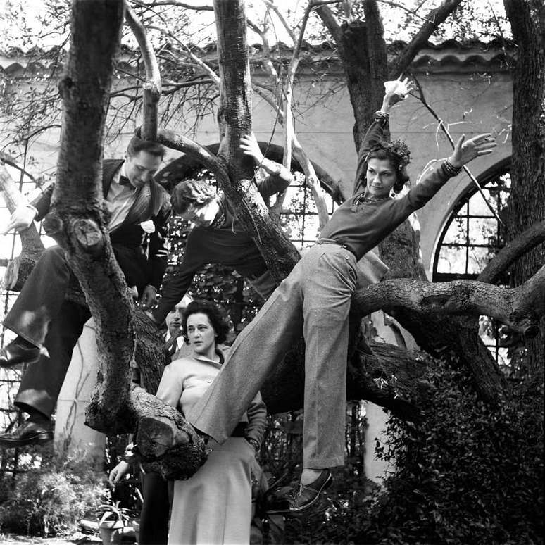 Chanel e amigos na oliveira em La Pausa 