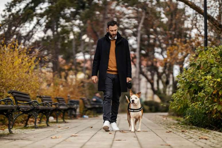Uma rotina organizada passa mais confian&ccedil;a e tranquilidade para o pet, que se torna mais receptivo &agrave;s intera&ccedil;&otilde;es 
