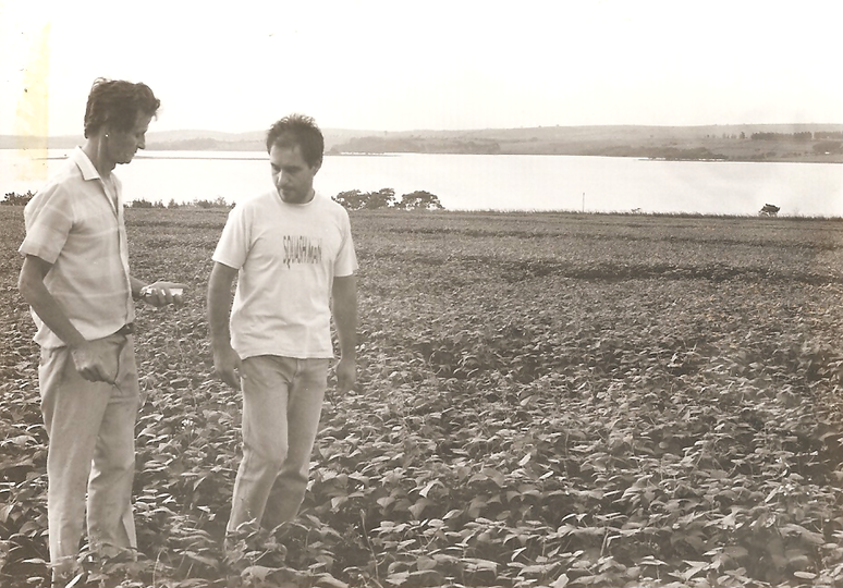O agr&ocirc;nomo Norival Augusti (&agrave; esquerda) em planta&ccedil;&atilde;o de feij&atilde;o nos anos 1980