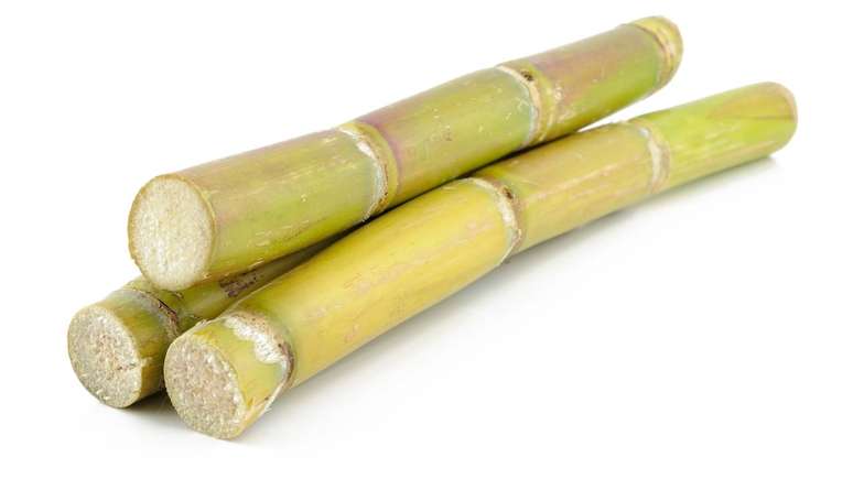 Esses cinco cultivos garantem energia, abastecem ind&uacute;strias e sustentam a seguran&ccedil;a alimentar do planeta &ndash; depositphotos.com / bedobedo