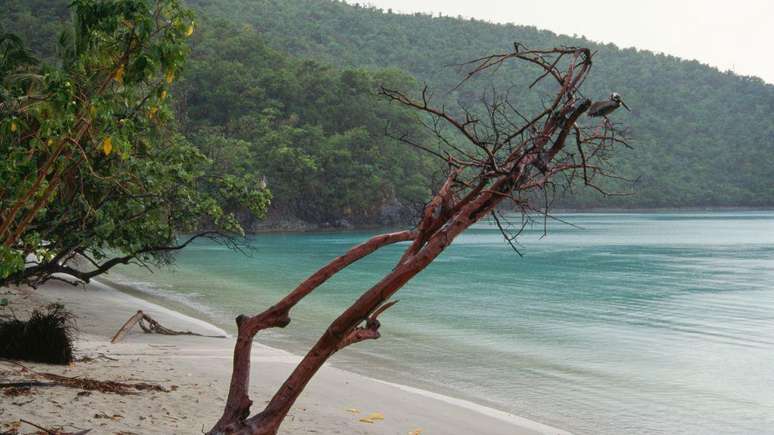 Diferentemente do caso da Groenl&acirc;ndia, a Dinamarca concordou em vender suas ilhas caribenhas para os Estados Unidos