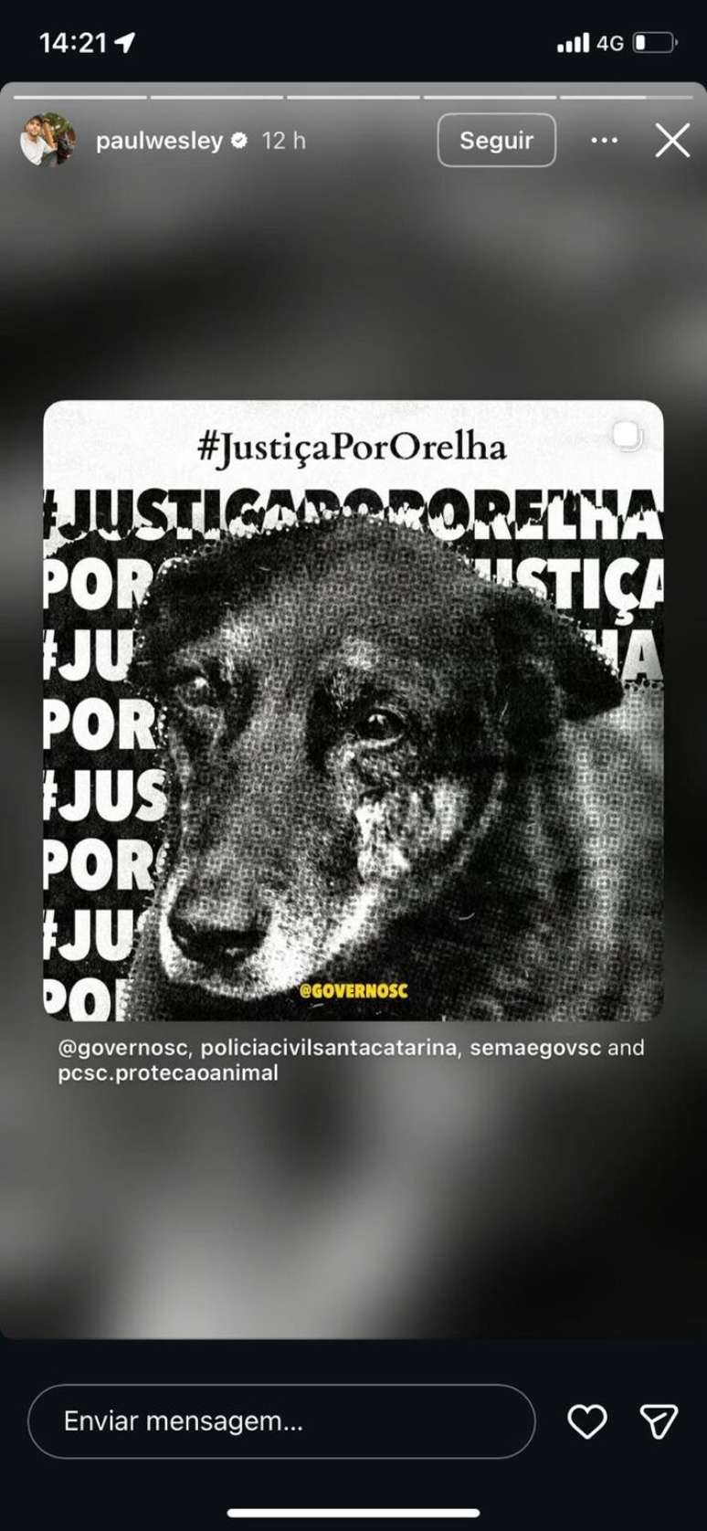 Story de Paul Wesley em apoio o caso do cachorro Orelha.