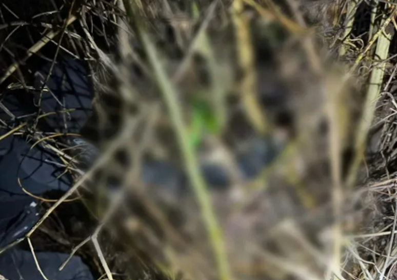 Corpo da corretora foi encontrado em uma regi&atilde;o de mata