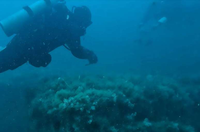 Mergulhadores conseguiram confirmar a localiza&ccedil;&atilde;o do Tutoya