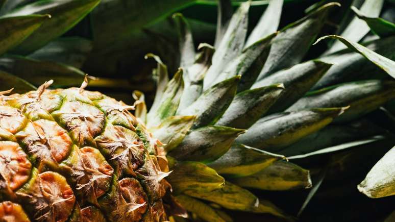 abacaxi &ndash; depositphotos.com / VadimVasenin