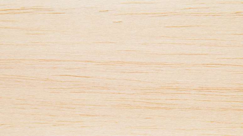 Voc&ecirc; sabia que a madeira balsa vem de uma &aacute;rvore que cresce r&aacute;pido e produz troncos extremamente leves? &ndash; depositphotos.com / brostock01