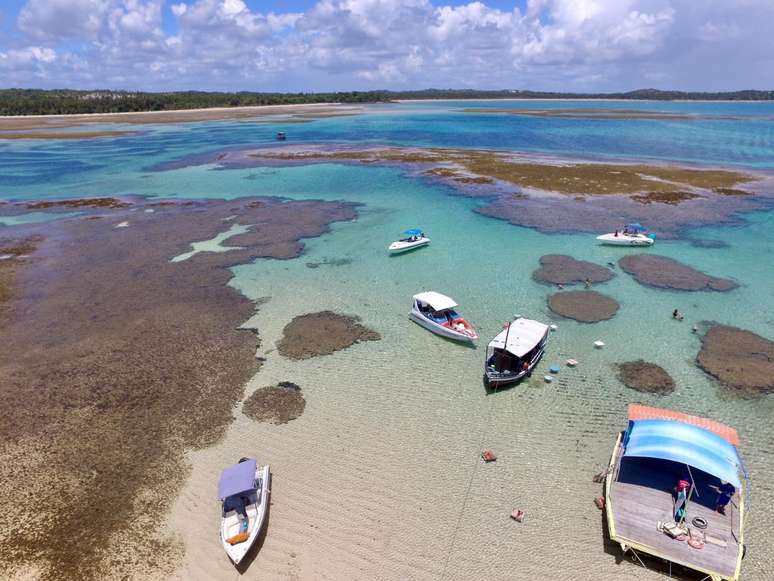 Tinhar&eacute; &ndash; TripAdvisor Divulga&ccedil;&atilde;o