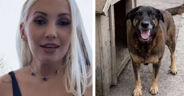 Vidente e c&atilde;o Orelha