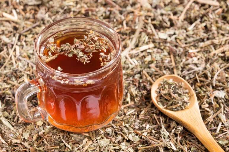 O ch&aacute; de quebra-pedra tem compostos bioativos antioxidantes, que ajudam a proteger contra danos causados por radicais livres 