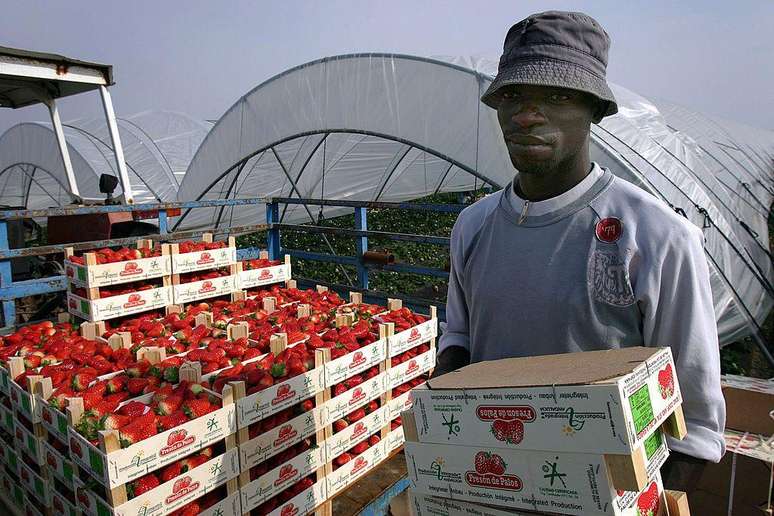 Muitos trabalhadores estrangeiros esperam ser contratados formalmente ap&oacute;s a regulariza&ccedil;&atilde;o