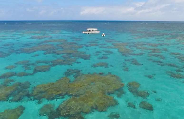 ట్రావెల్ గైడ్ బ్రెజిల్‌లోని అత్యంత అందమైన సహజ కొలనులలో ఒకటైన గమ్యస్థానమైన Parrachos de Maracajaú వివరాలను చూపుతుంది.