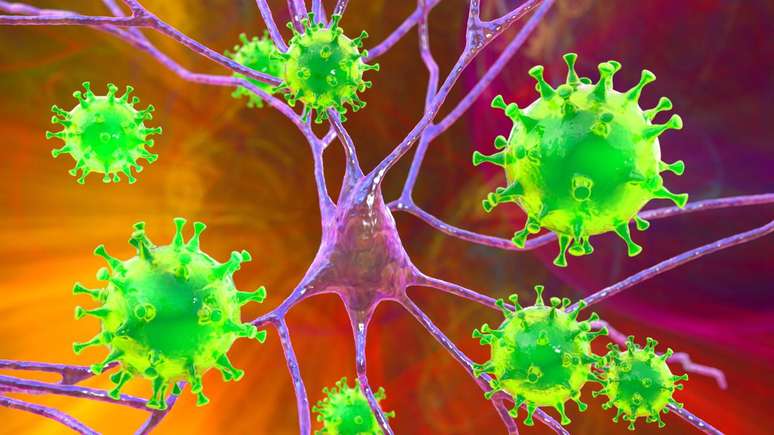 V&iacute;rus Nipah &ndash; depositphotos.com / katerynakon