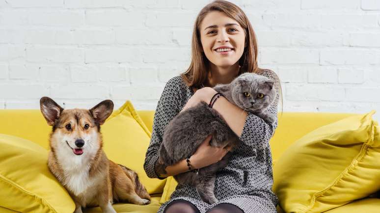 Humanos t&ecirc;m vis&atilde;o mais detalhada e colorida. C&atilde;es e gatos s&atilde;o melhores no escuro e em detectar movimentos &ndash; depositphotos.com / VadimVasenin