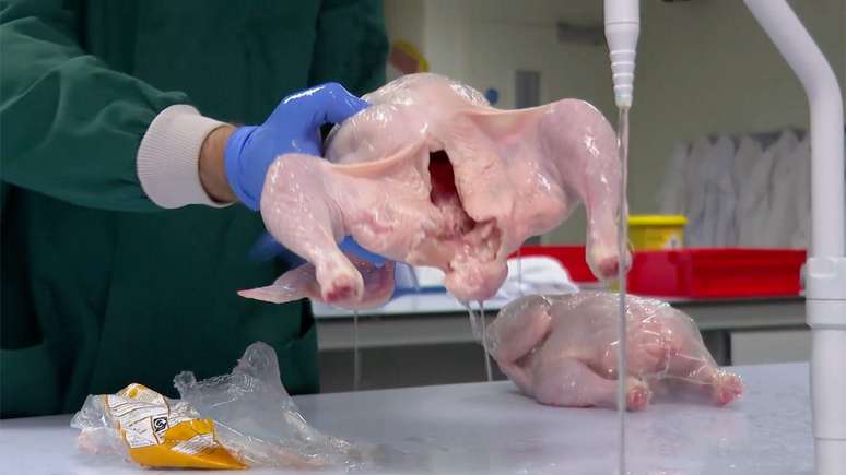 A olho nu, as bact&eacute;rias presentes no frango s&atilde;o invis&iacute;veis