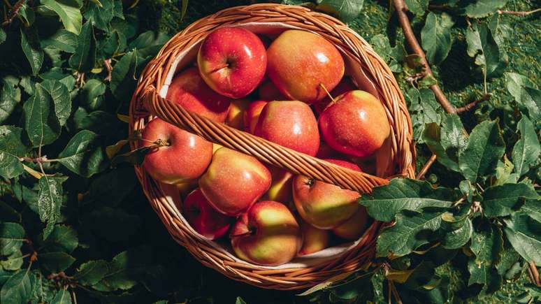 Ma&ccedil;&atilde; &eacute; uma das fontes mais cl&aacute;ssicas de pectina; muitas vezes &eacute; usada para &ldquo;ajudar&rdquo; outras frutas com pouca pectina &ndash; depositphotos.com / KateNovikova