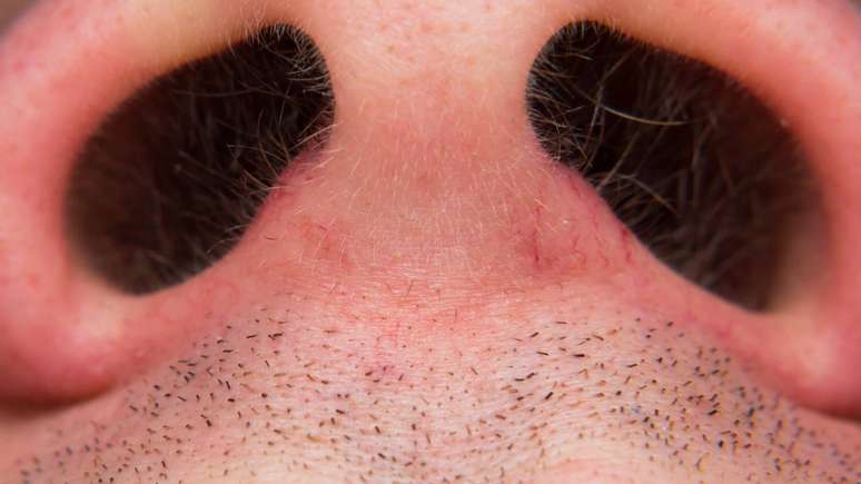 O manejo adequado desses pelos depende mais de seguran&ccedil;a do que de apar&ecirc;ncia &ndash; depositphotos.com / gabitodorean