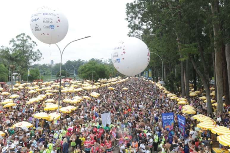 P&uacute;blico lota bloco Agrada Gregos no Parque do Ibirapuera.