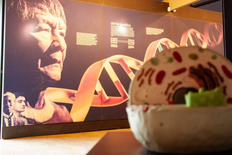 గ్రేటర్ కురిటిబాలోని పిన్‌హైస్ మునిసిపాలిటీలోని న్యూటన్ ఫ్రైర్ మైయా సైన్స్ పార్క్‌లోని ఎగ్జిబిషన్ రూమ్‌లలో ఒకటి: ఈ పరిశోధన రాష్ట్రంలోని 88 మునిసిపాలిటీలలో 2,684 మంది వ్యక్తులను ఇంటర్వ్యూ చేసింది మరియు 21వ శతాబ్దంలో శాస్త్రీయ జ్ఞానం మరియు ప్రజా జీవితం మధ్య సంబంధాన్ని విస్తరించే తీవ్ర వైరుధ్యాలను వెల్లడించింది.