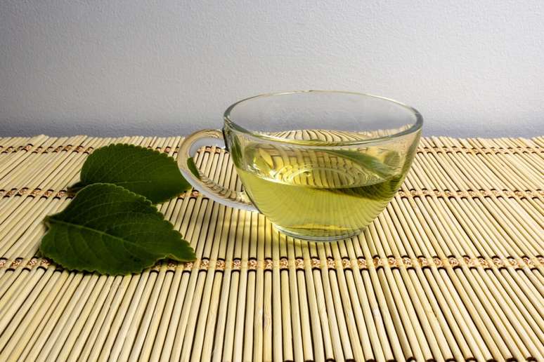 O boldo-do-chile ajuda a reduzir c&oacute;licas intestinais 