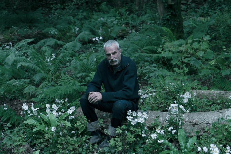 Em &ldquo;An&ecirc;mona&rdquo;, Ray Stoker enfrenta conflitos familiares quando seu irm&atilde;o tenta reaproxim&aacute;-lo do filho que abandonou 