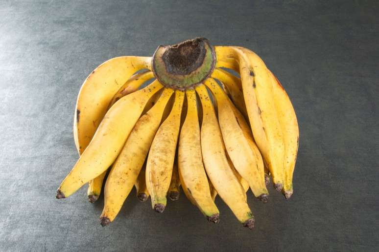 A banana-da-terra &eacute; amplamente utilizada em prepara&ccedil;&otilde;es salgadas, como chips crocantes e acompanhamentos 
