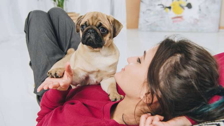 cachorro &ndash; depositphotos.com / AndrewLozovyi