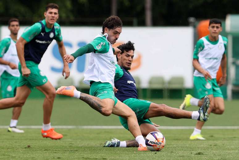 Palmeiras segue prepara&ccedil;&atilde;o para quartas de final do Paulist&atilde;o &ndash;