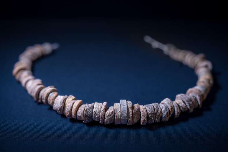 Clark estava &agrave; procura de pequenos fragmentos fossilizados do caule de crinoides, historicamente usados ​​para fazer colares na regi&atilde;o