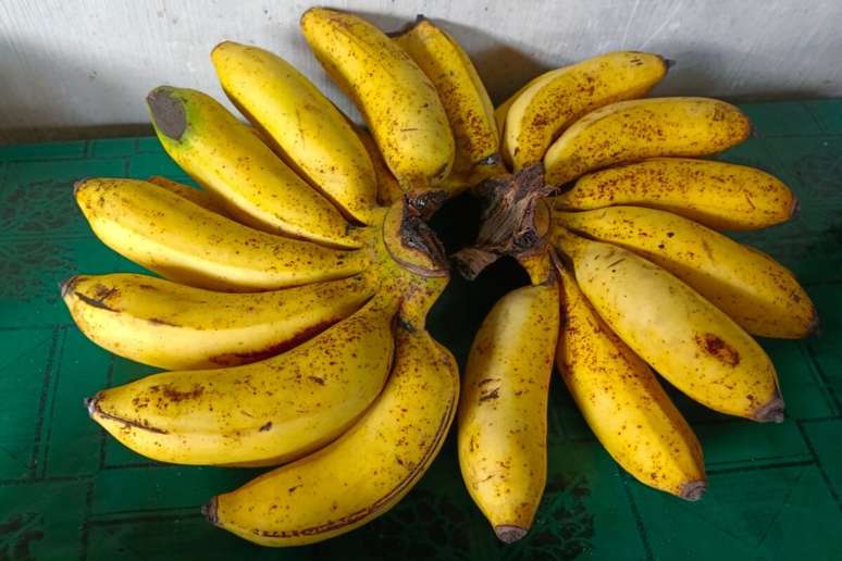 De aroma acentuado e sabor concentrado, a banana-ouro &eacute; ideal para compotas e carameliza&ccedil;&otilde;es 