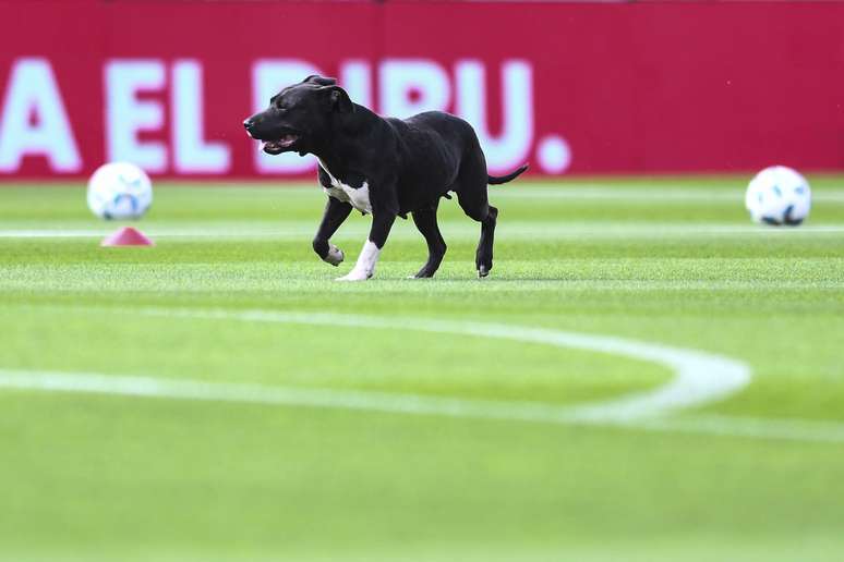 (Photo by Rodrigo Valle/Getty Images)