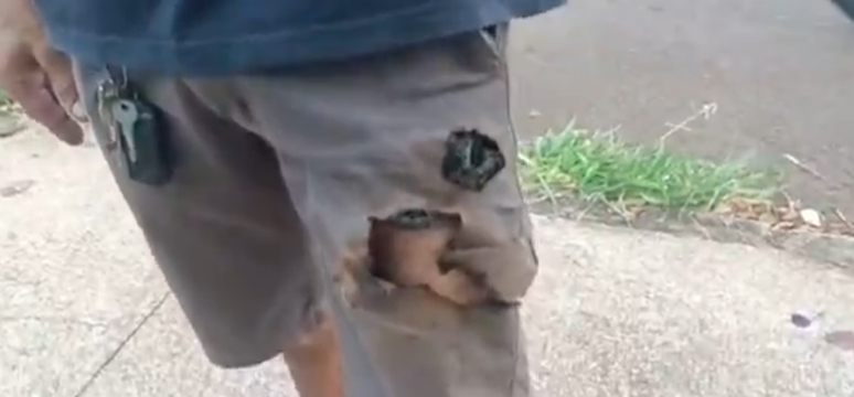 PR: homem &eacute; salvo de ataque de c&atilde;es ap&oacute;s celular explodir com mordida