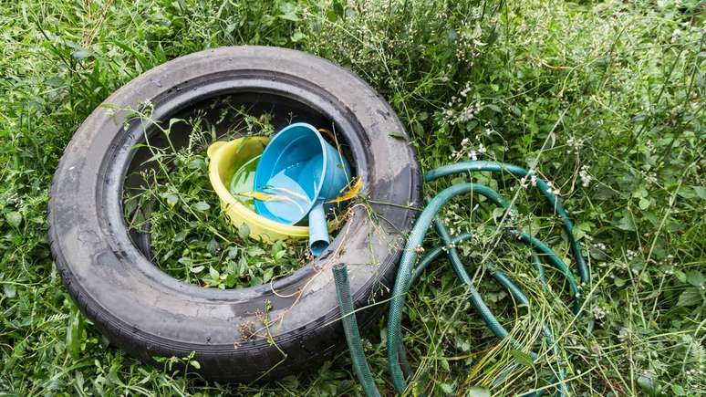 Como n&atilde;o h&aacute; vacina dispon&iacute;vel para a febre do Oropouche em uso amplo na popula&ccedil;&atilde;o, a preven&ccedil;&atilde;o depende principalmente do controle de vetores e da prote&ccedil;&atilde;o individual &ndash; depositphotos.com / Thamkc