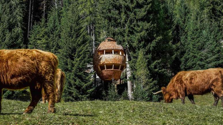 Casa &eacute; esculpida em madeira de pinho abeto e coberta com telhas de alerce