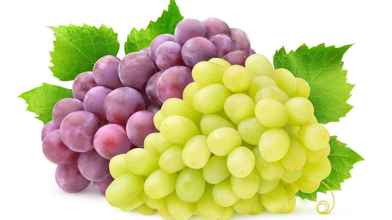 Bagos firmes, cor intensa e cachos bem formados s&atilde;o sinais de qualidade na hora da compra &ndash; depositphotos.com / photomaru