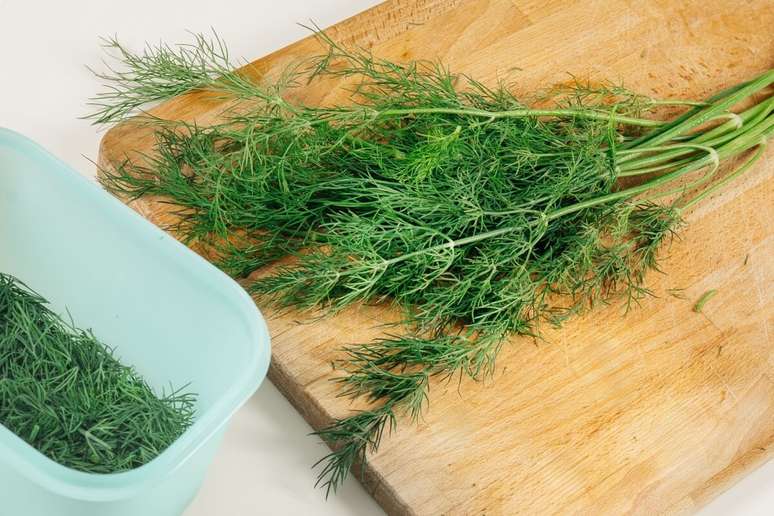O consumo de endro pode ajudar a prevenir problemas ligados &agrave; defici&ecirc;ncia de ferro 