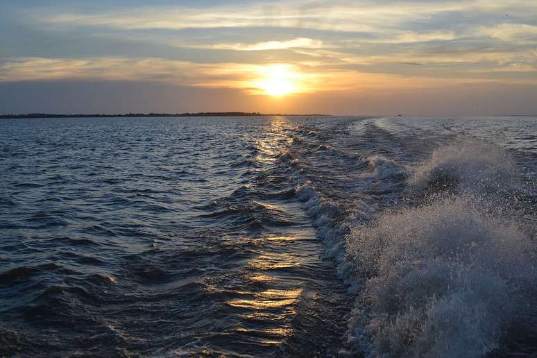 No Rio Amazonas, a for&ccedil;a da mar&eacute; atl&acirc;ntica tamb&eacute;m cria ondas surf&aacute;veis, mas o cen&aacute;rio exige experi&ecirc;ncia e respeito &agrave;s comunidades ribeirinhas e &agrave;s condi&ccedil;&otilde;es desafiadoras da regi&atilde;o &ndash; Wikimedia Commons/Carolina Teixeira de Melo Franco