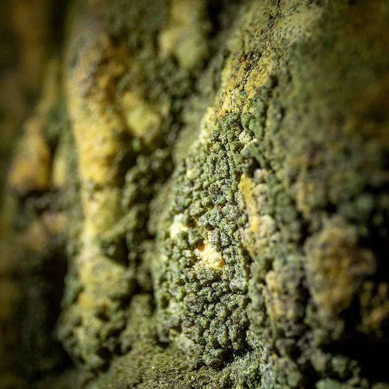 Pesquisadores encontraram espessos biofilmes verdes dentro das cavernas, mesmo na aus&ecirc;ncia de luz real