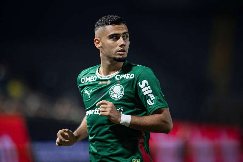 O Palmeiras &eacute; o grande favorito a chegar a final e conquistar o t&iacute;tulo do Paulist&atilde;o 2026