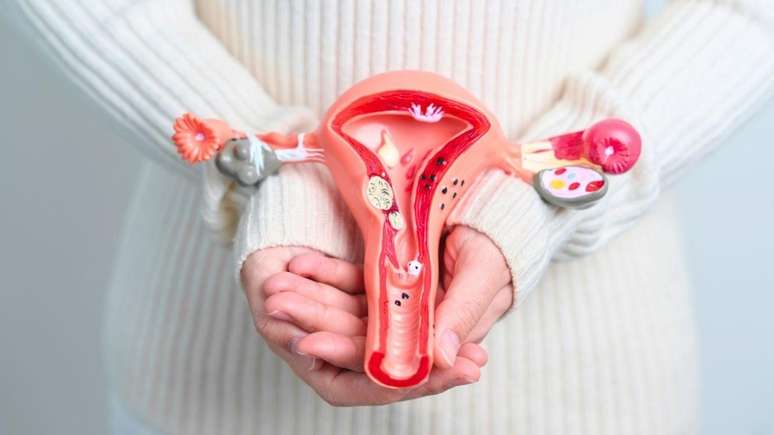 ఫోటో: పునరుత్పత్తి/Shutterstock