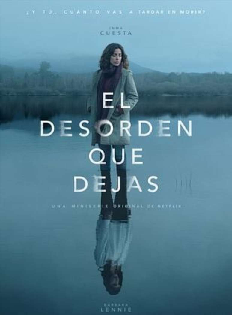 P&ocirc;ster de A Desordem que Ficou