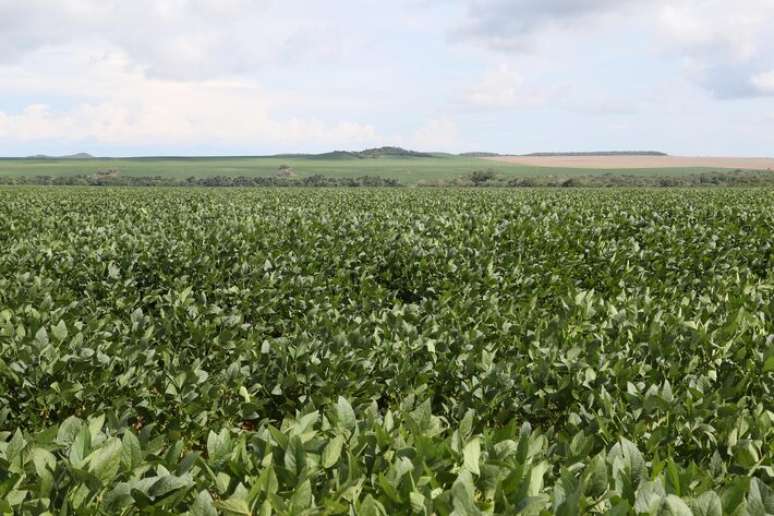 N&uacute;mero de empresas em recupera&ccedil;&atilde;o judicial bate recorde em 2025; agro responde por 30%, diz Serasa